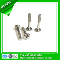 M4 Aço Inoxidável Truss Head Screw